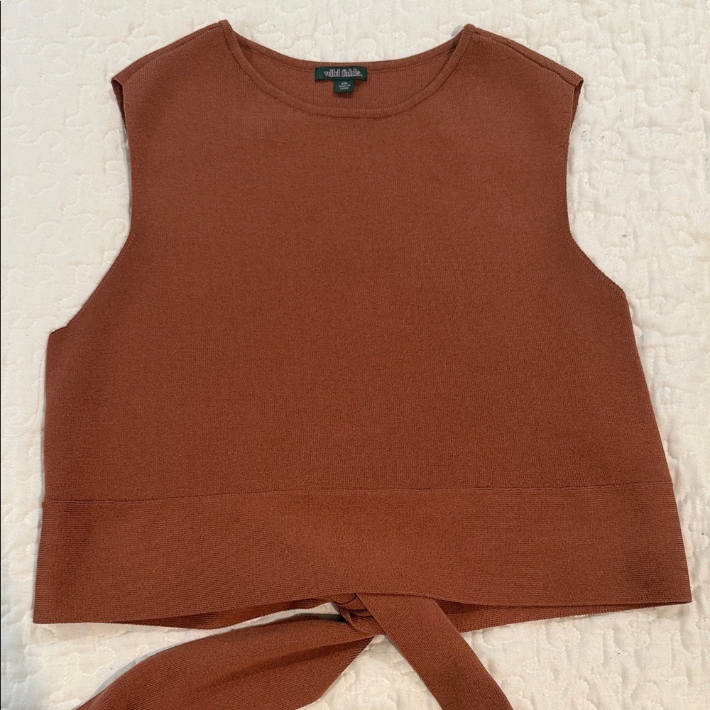 Wild Fable Terracotta Sleeveless Crop Top